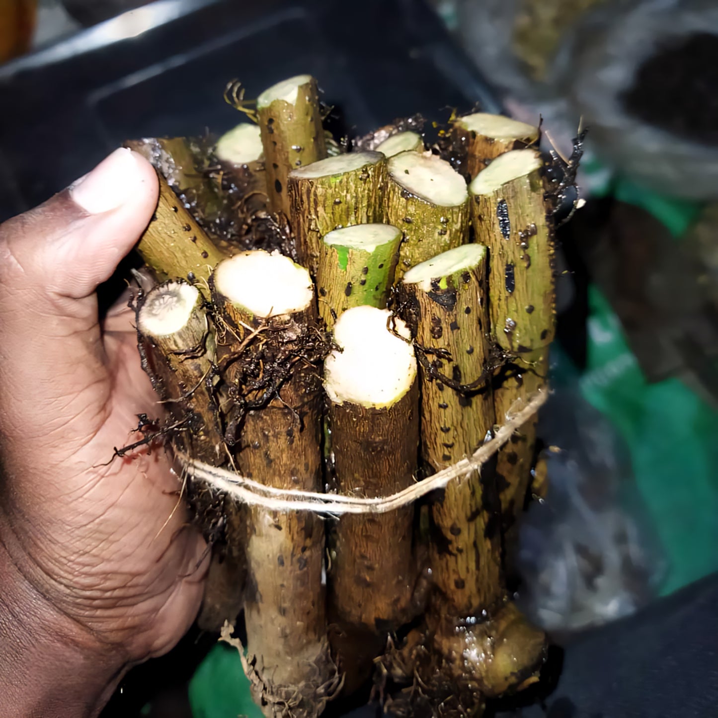 ChuiJhal | মোটা চুইঝাল ৭৫০ গ্রাম